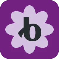 Bloomerang Volunteer